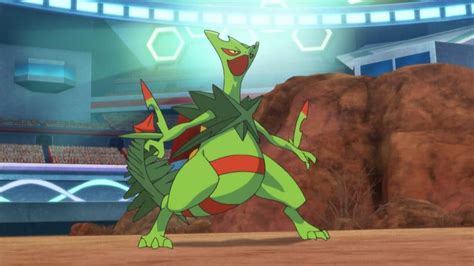 sceptile smogon|best moveset for mega sceptile.